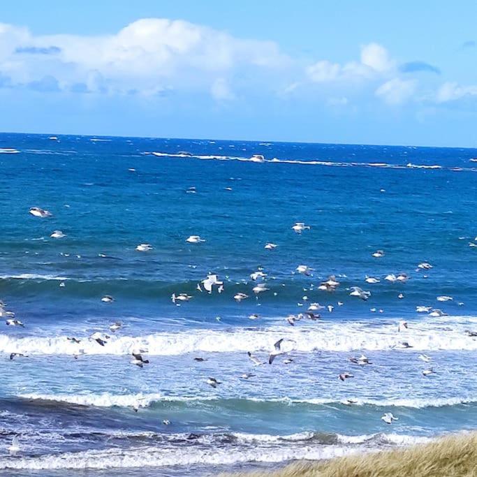 Gite Kerbourc'H Charmant Et Confortable, Mer Et Plages A 3Km, Ploudalmezeau ภายนอก รูปภาพ